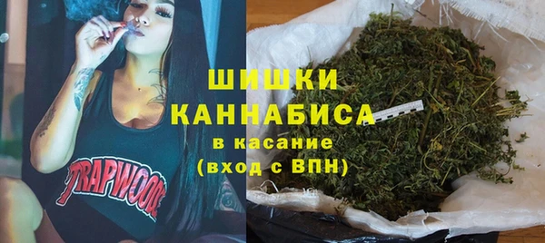 дмт Вяземский